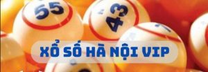 Các loại hình dự thưởng xổ số Hà Nội VIP