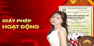 Những loại giấy phép kinh doanh DA88 đang sở hữu