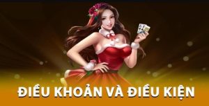 Quy định về tài khoản hội viên DA88
